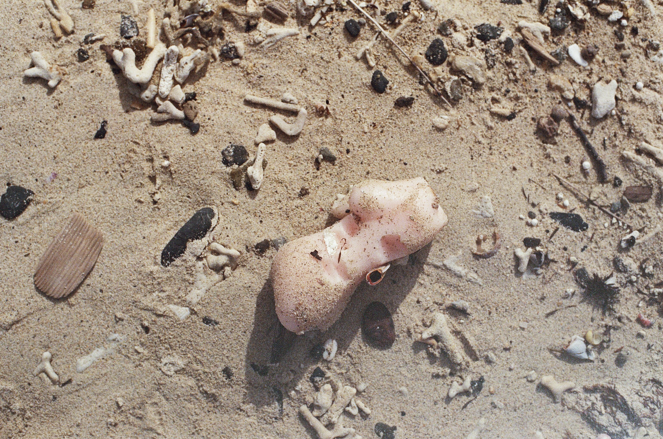 An apparent washed-up sex toy on a beach