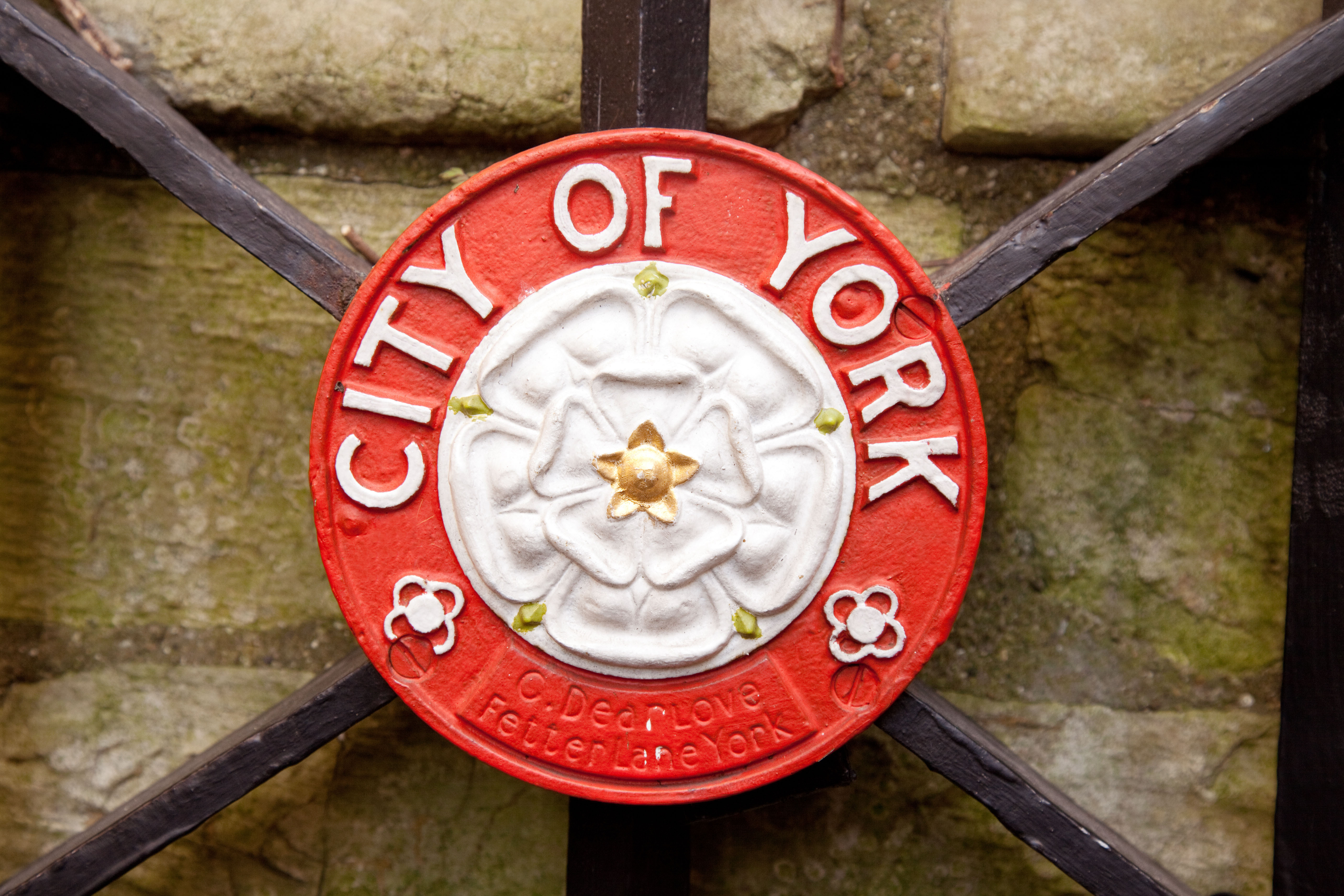 D6NJD6 The white rose symbol of the house of York, the city of York, and Yorkshire, UK